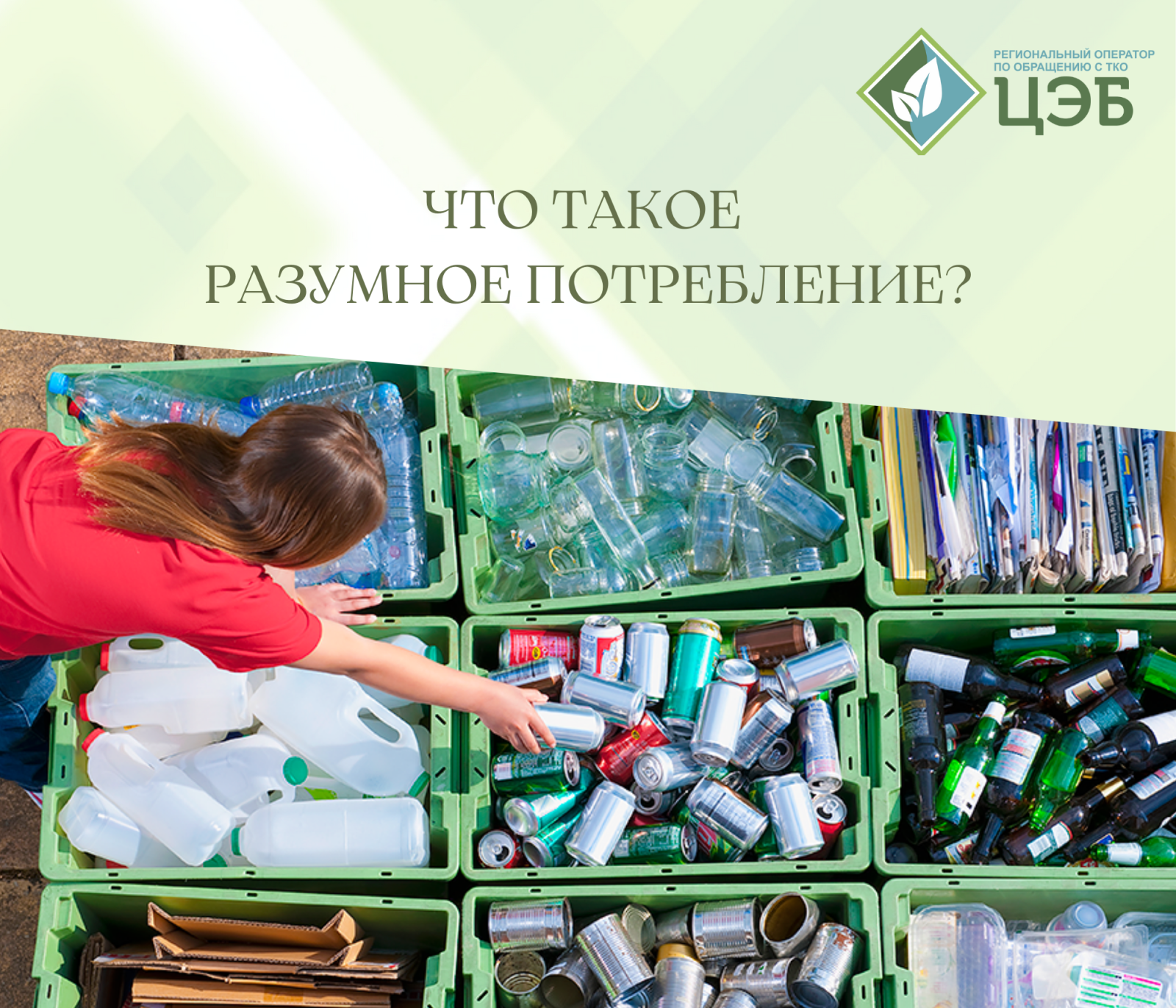 что такое разумное потребление?