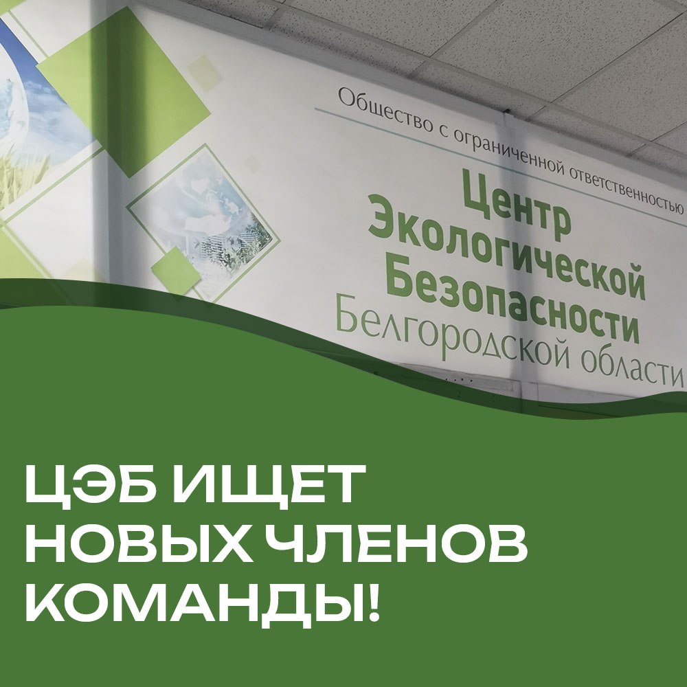 цэб ищет новых членов команды