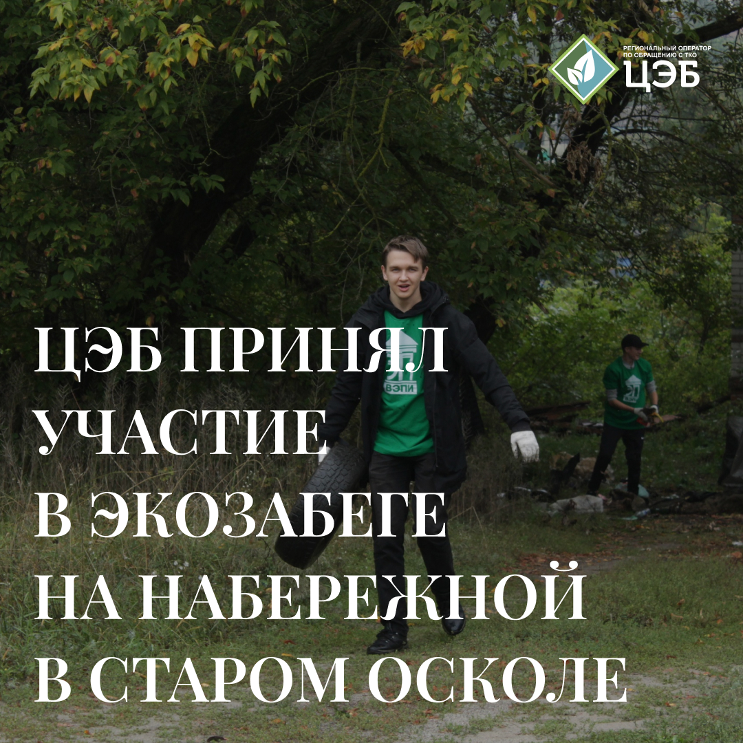 ооо «цэб» принял участие в экологическом фестивале #на_чистоте