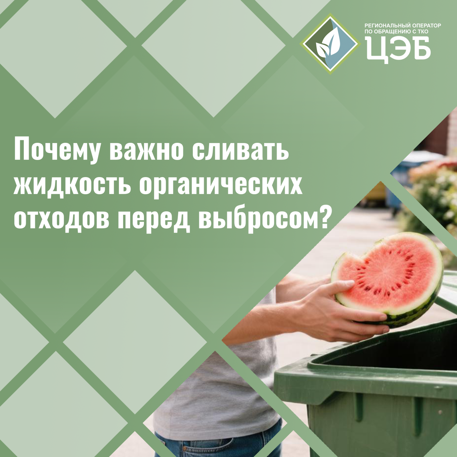 лужи на асфальте: почему важно сливать жидкость органических отходов перед выбросом?