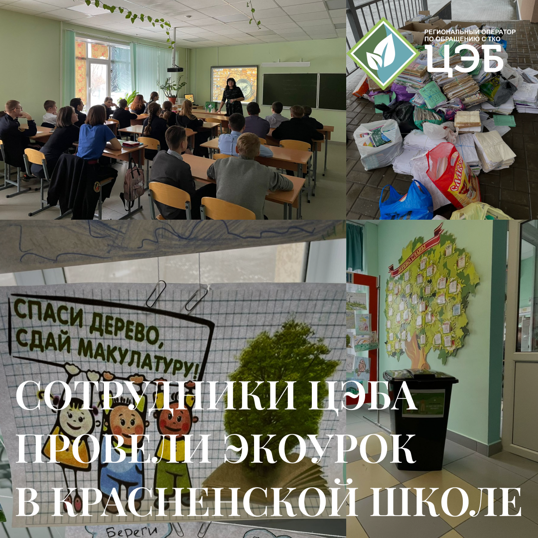 сотрудники цэба провели экоурок в красненской школе