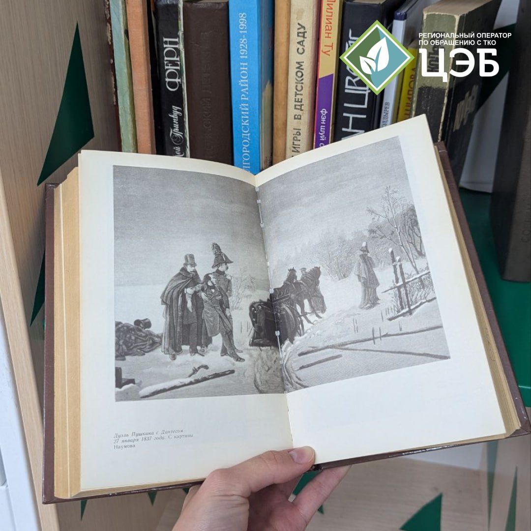 «пушкин в жизни»: новая книга в пространстве «книгоцвет»