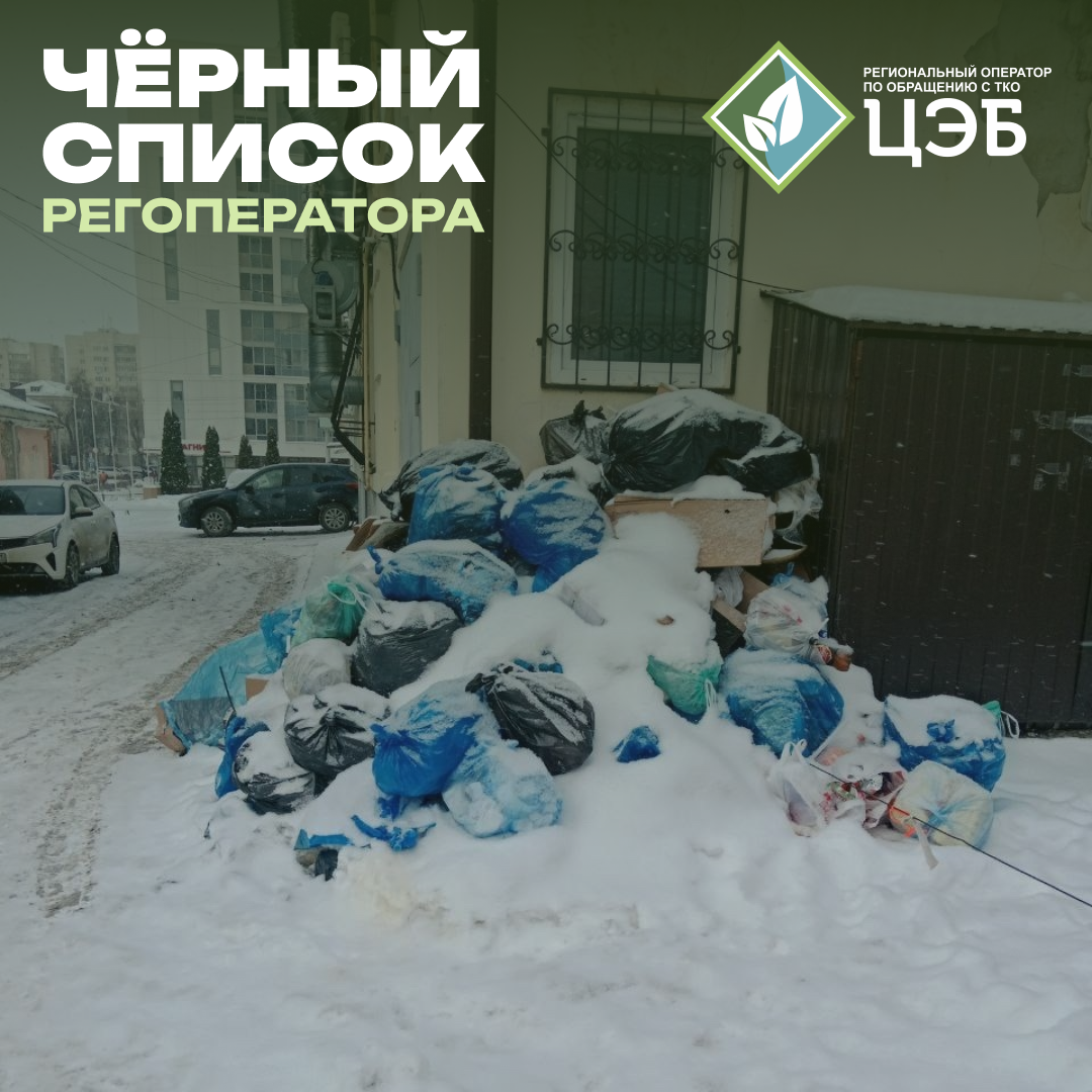 свалка вместо договора: белгородский паб игнорирует обязанность заключить договор с регоператором