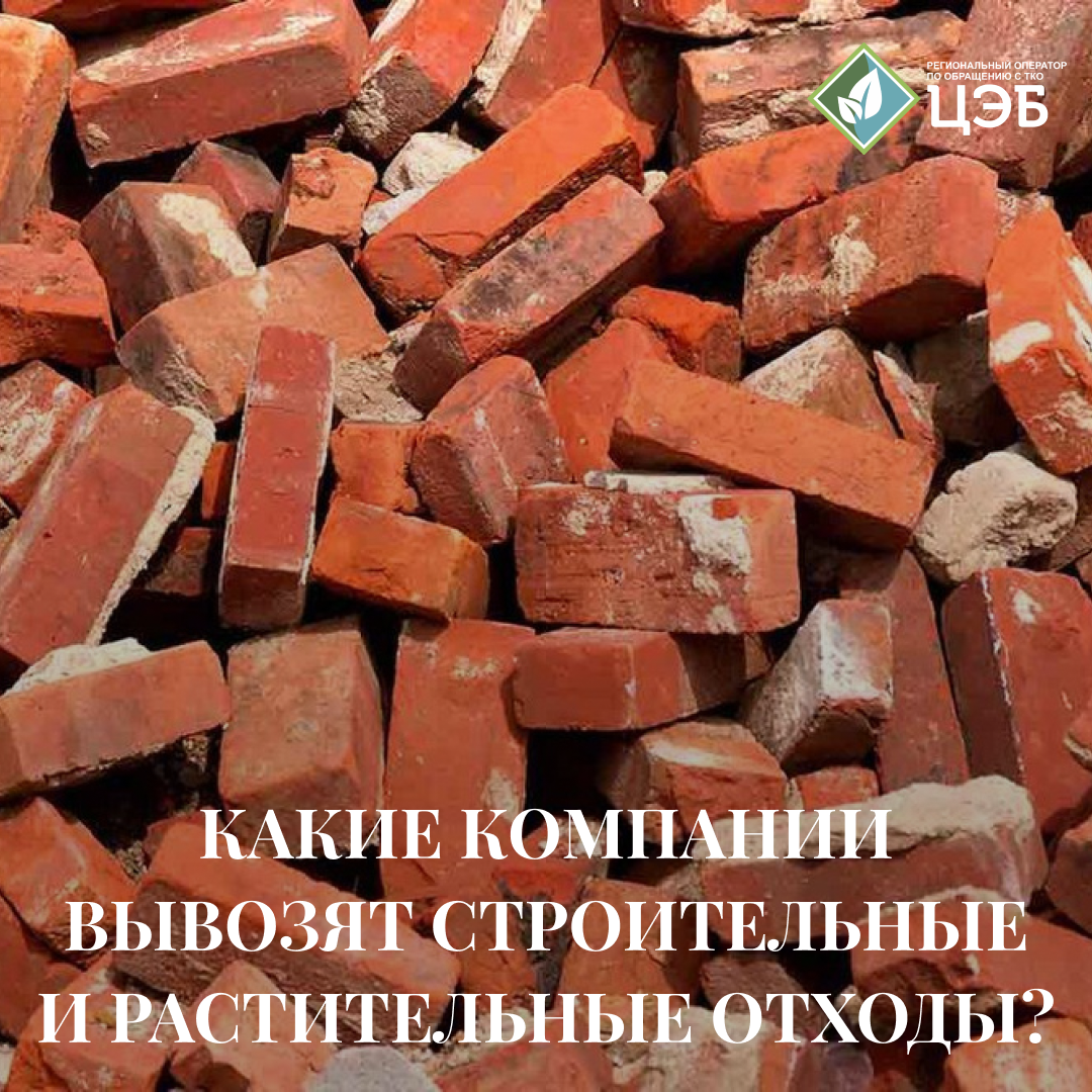 какие компании вывозят строительные и растительные отходы?