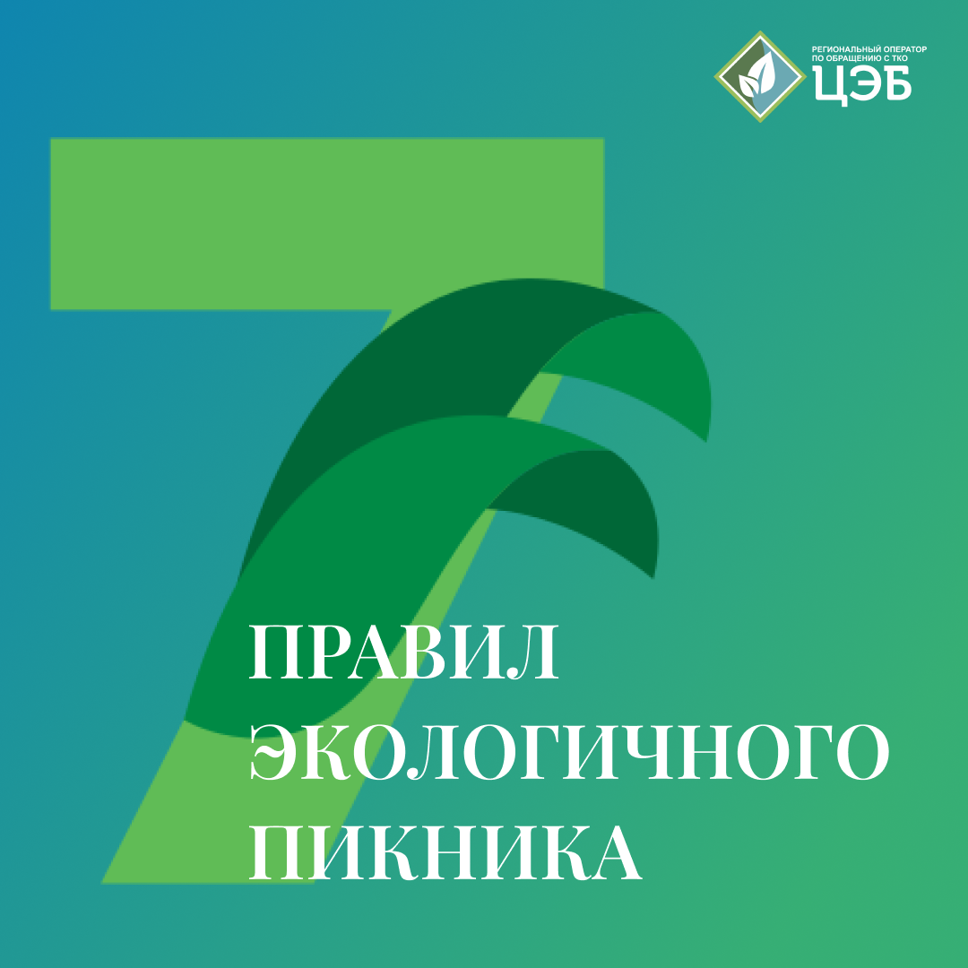 7 правил экологичного пикника