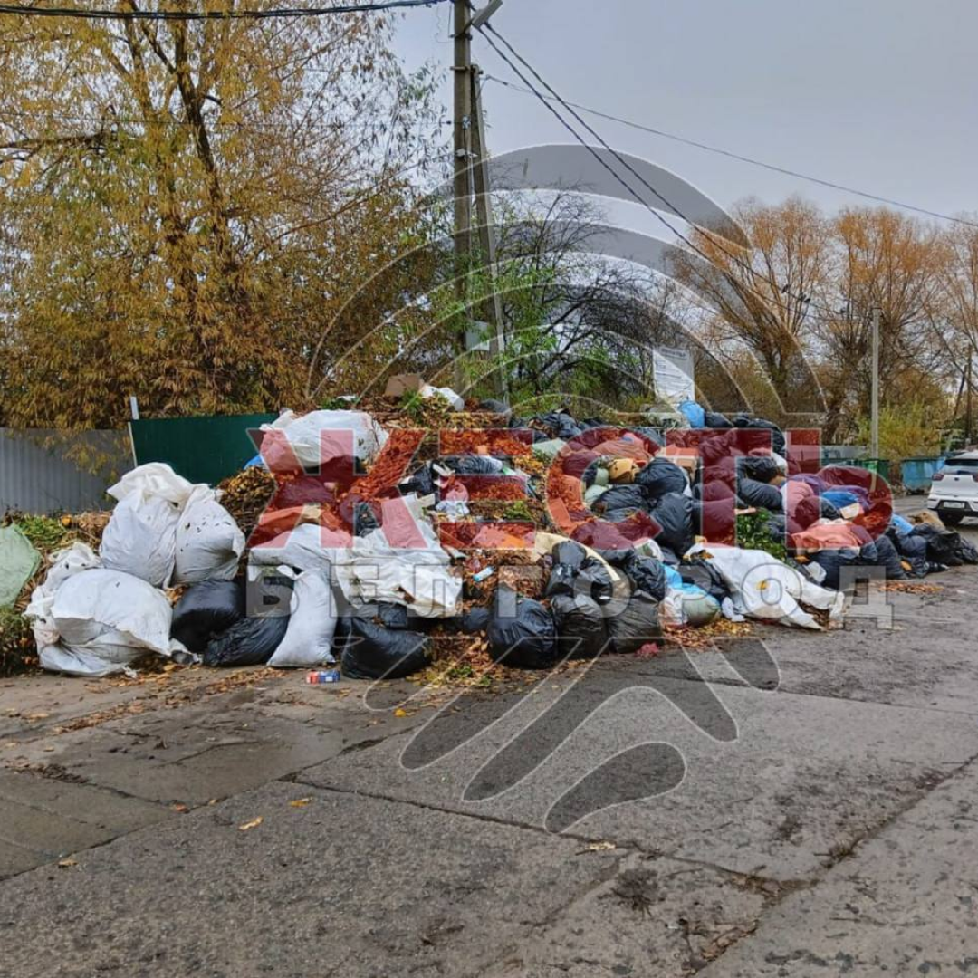 свалка в дубовом: почему устранение смешанных отходов требует времени?