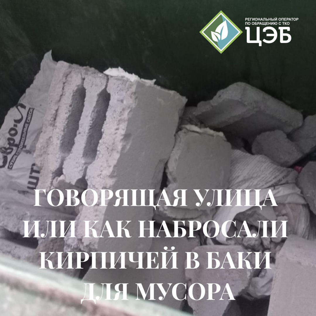 говорящая улица или как набросали кирпичей в баки для мусора
