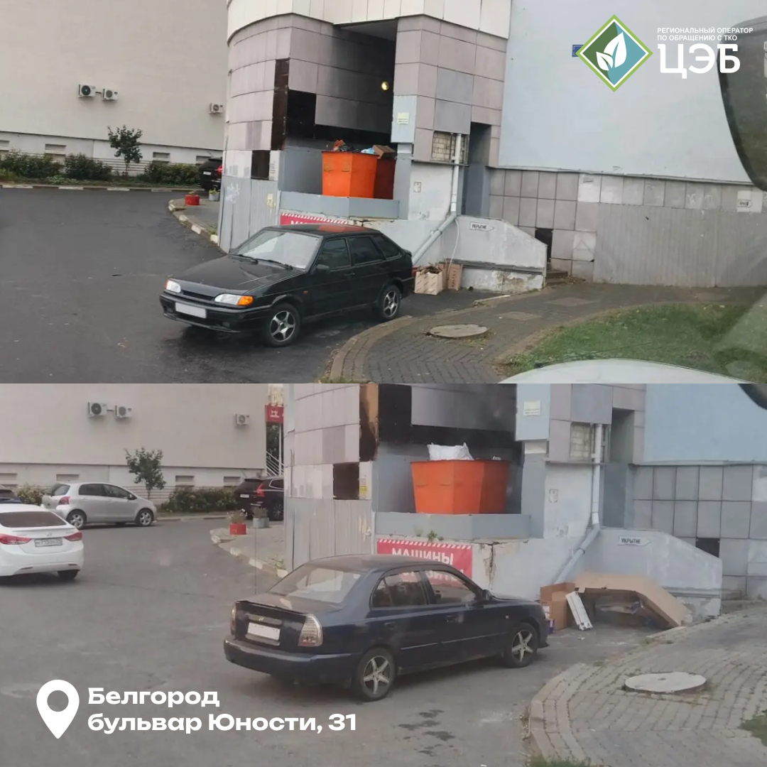 парковать нельзя вывозить: как брошенные автомобили мешают вывозу тко