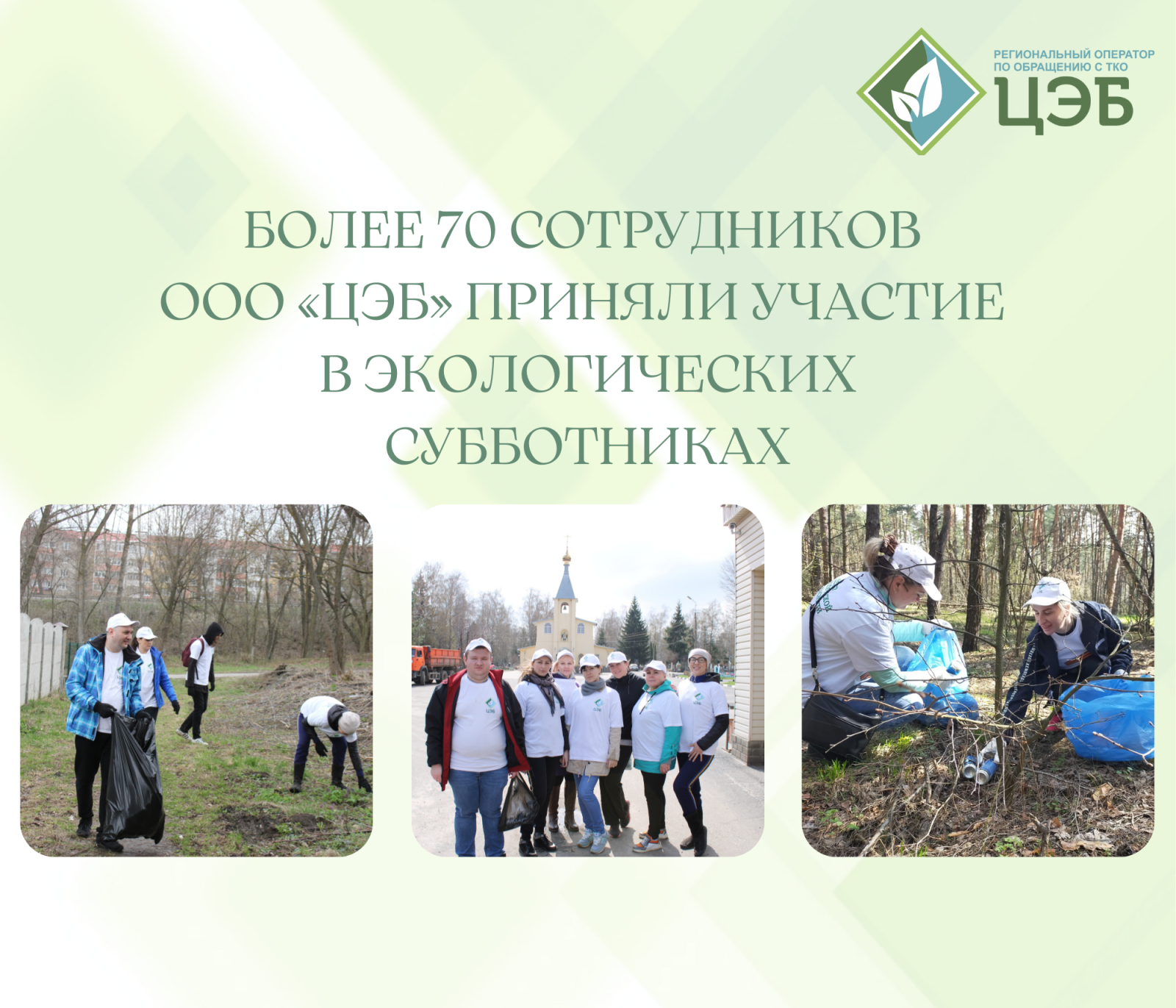 более 70 сотрудников ооо «цэб» приняли участие в экологических субботниках