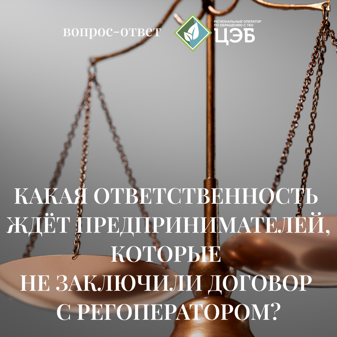 какая ответственность ждёт предпринимателей, которые не заключили договор с регоператором?