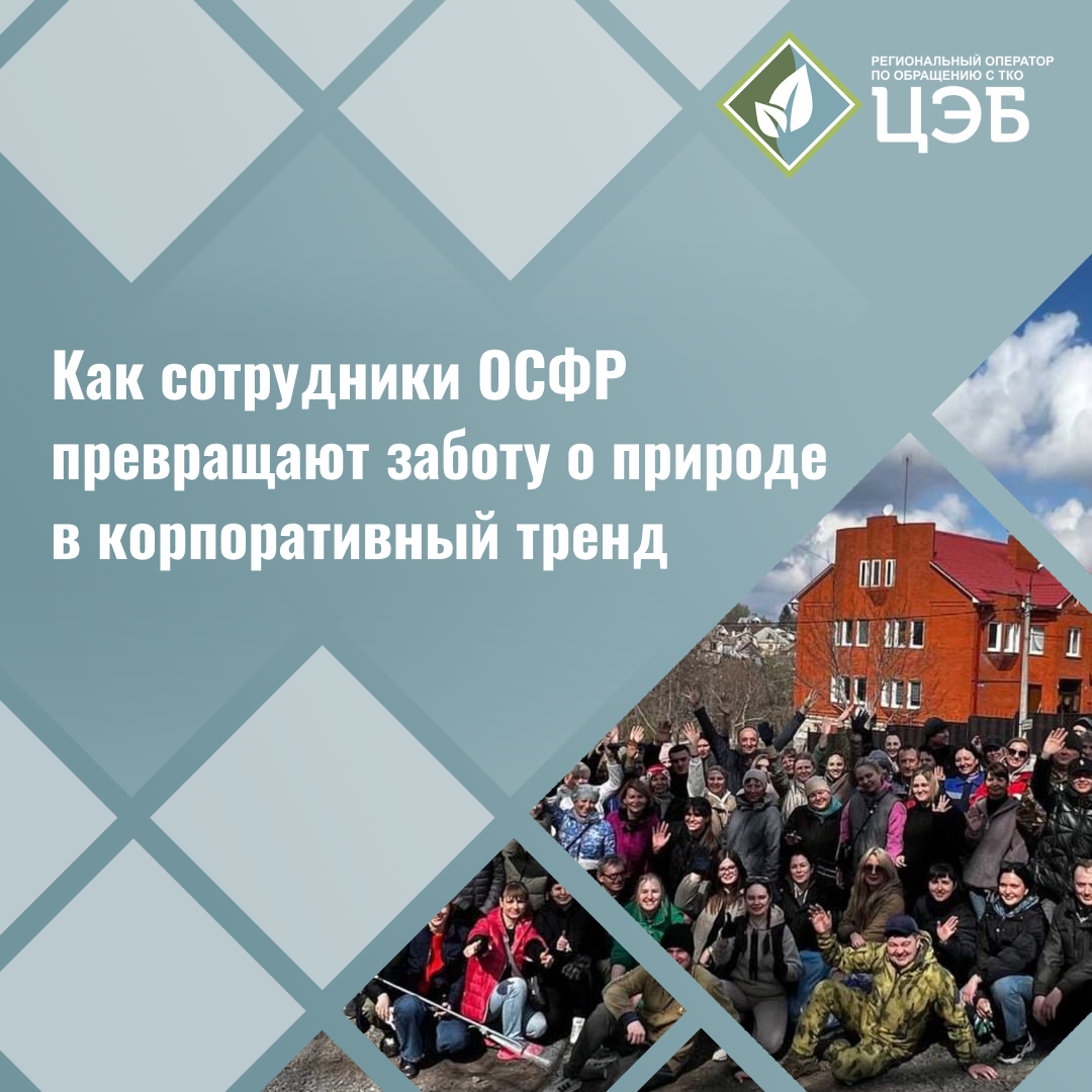 победители «экокомпании»: как сотрудники осфр превращают заботу о природе в корпоративный тренд