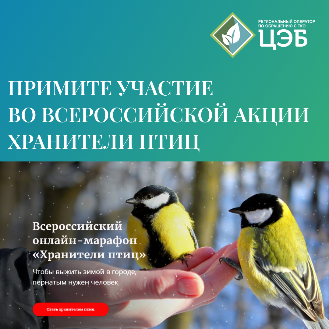 примите участие во всероссийской акции «хранители птиц»