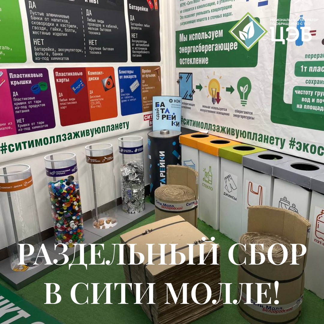раздельный сбор в сити молле!