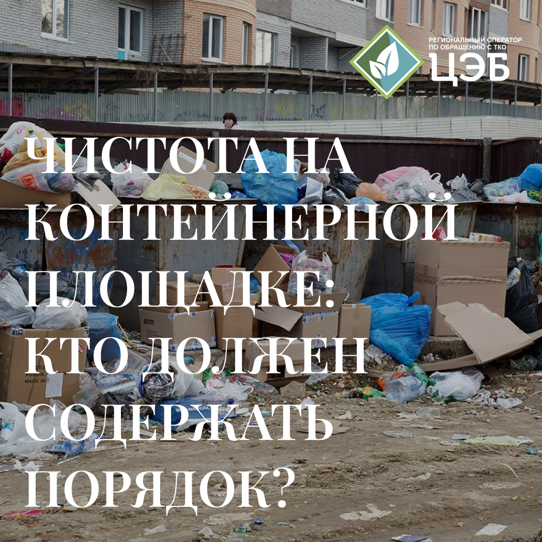чистота на контейнерной площадке: кто должен содержать порядок?