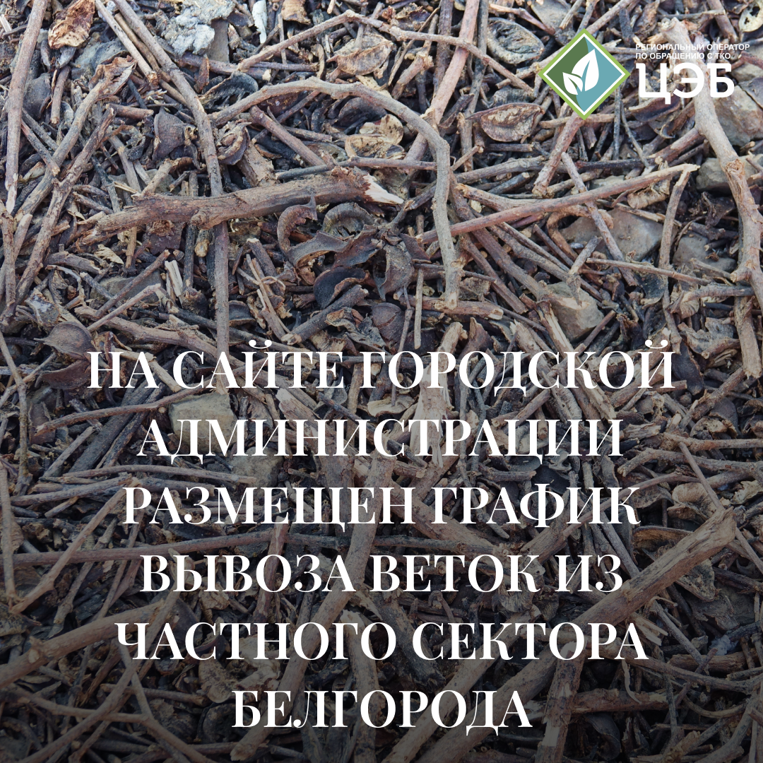 на сайте городской администрации размещен график вывоза веток из частного сектора белгорода