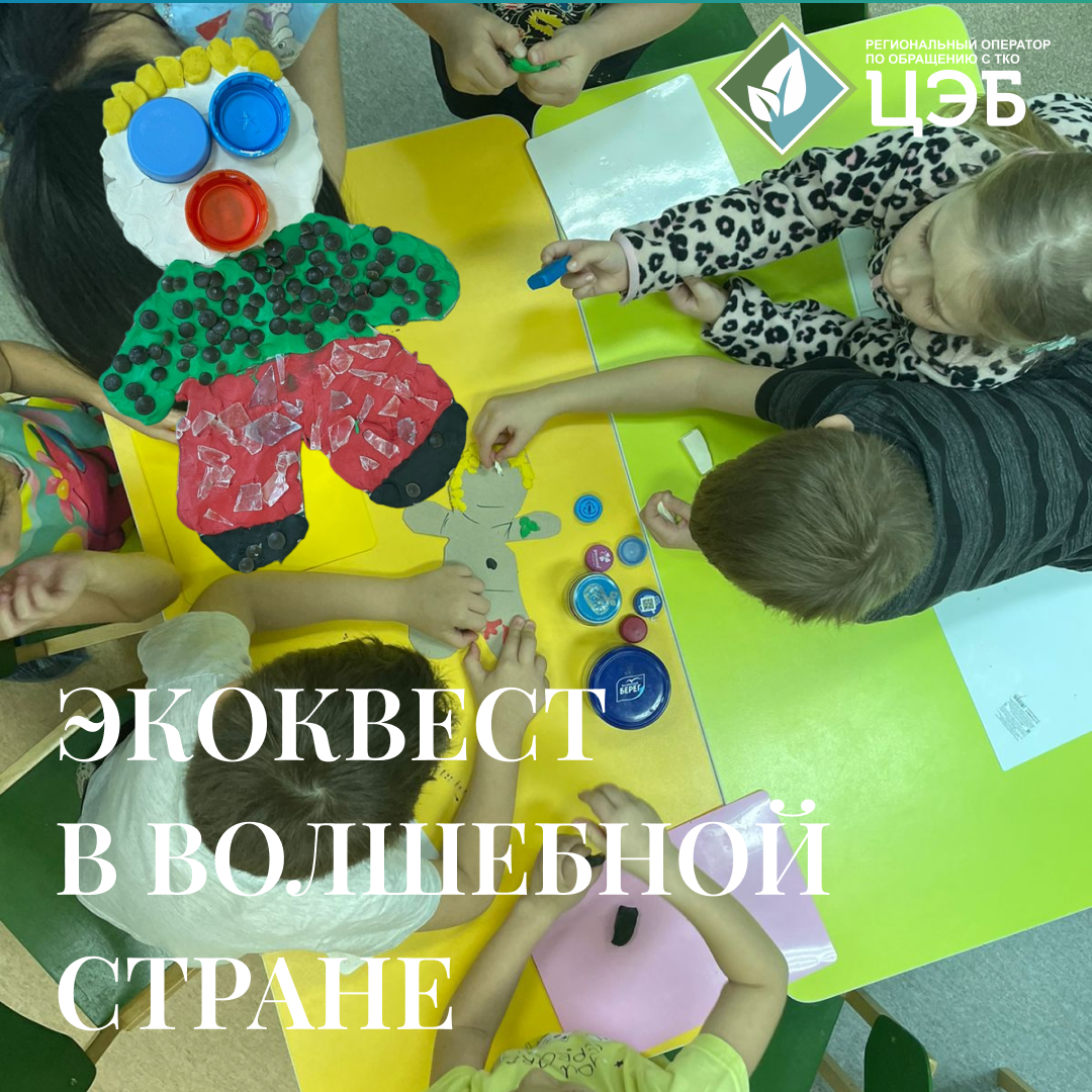 экоквест в волшебной стране
