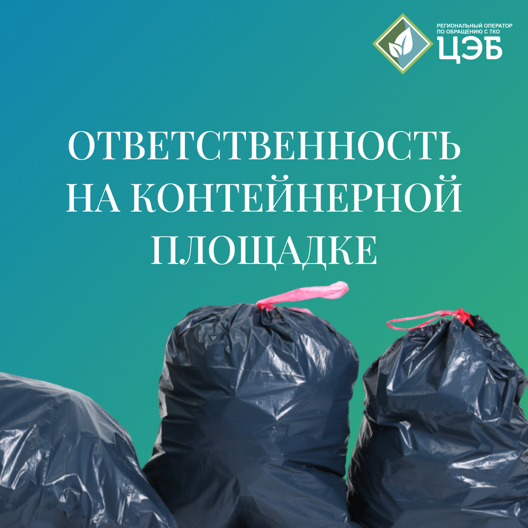 кто должен следить за чистотой на контейнерной площадке?