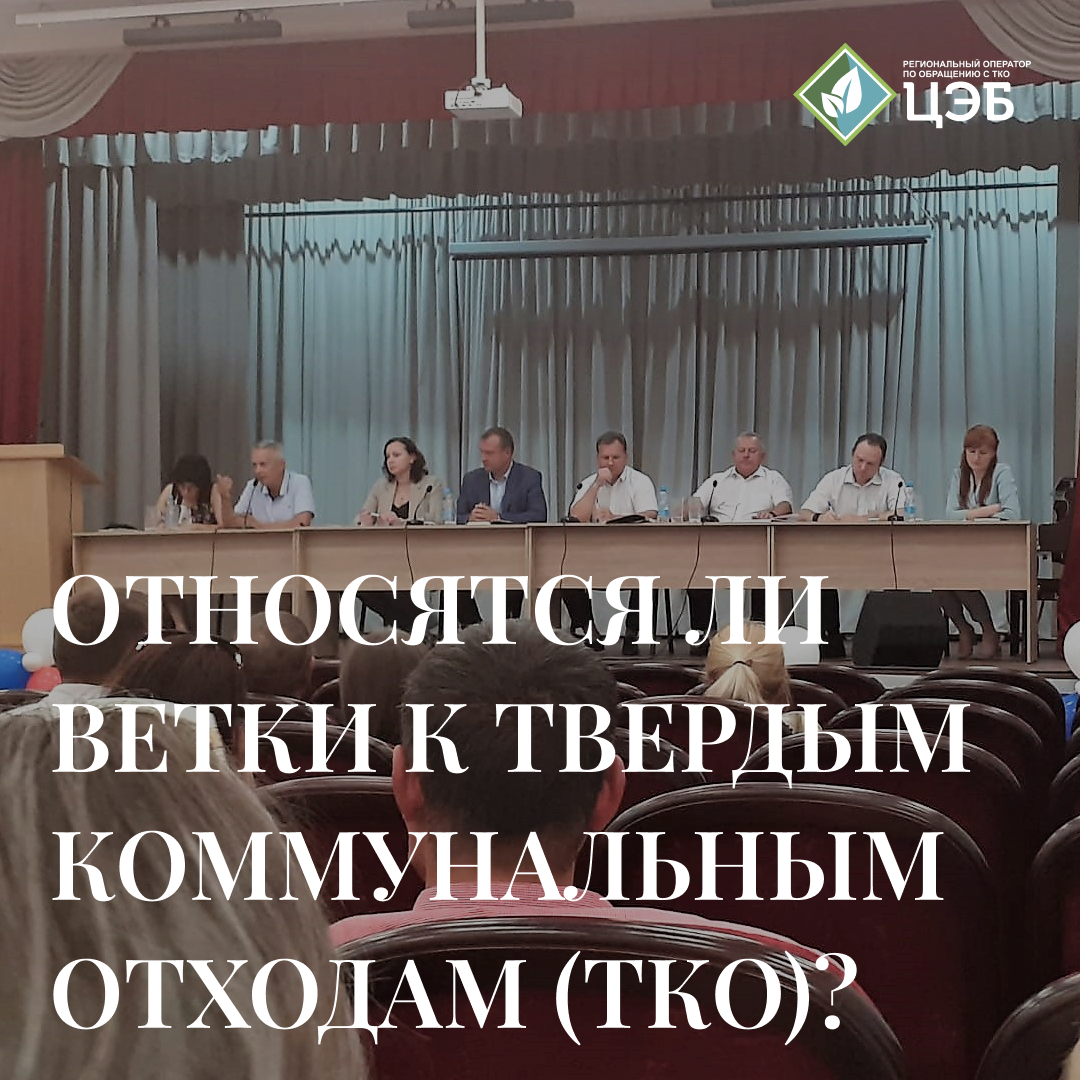 относятся ли ветки к твердым коммунальным отходам?