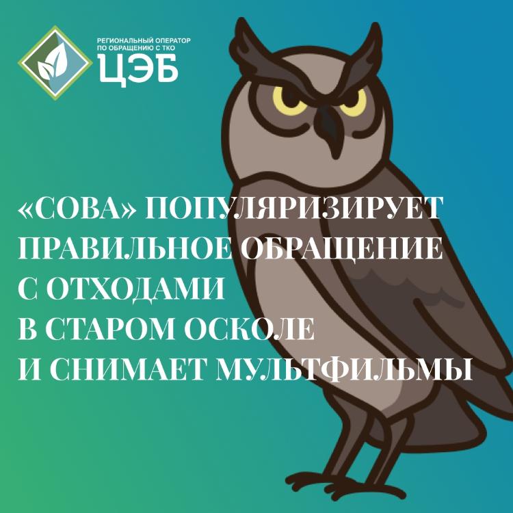 «сова» популяризирует правильное обращение с отходами в старом осколе и снимает мультфильмы