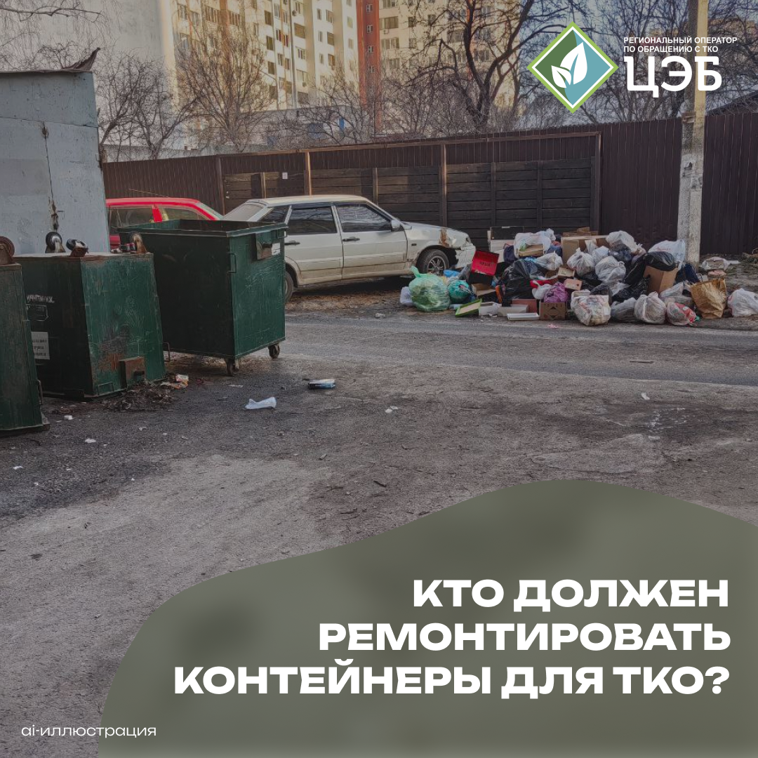 «ни одного целого контейнера»: белгородка бьёт тревогу из-за антисанитарии во дворе