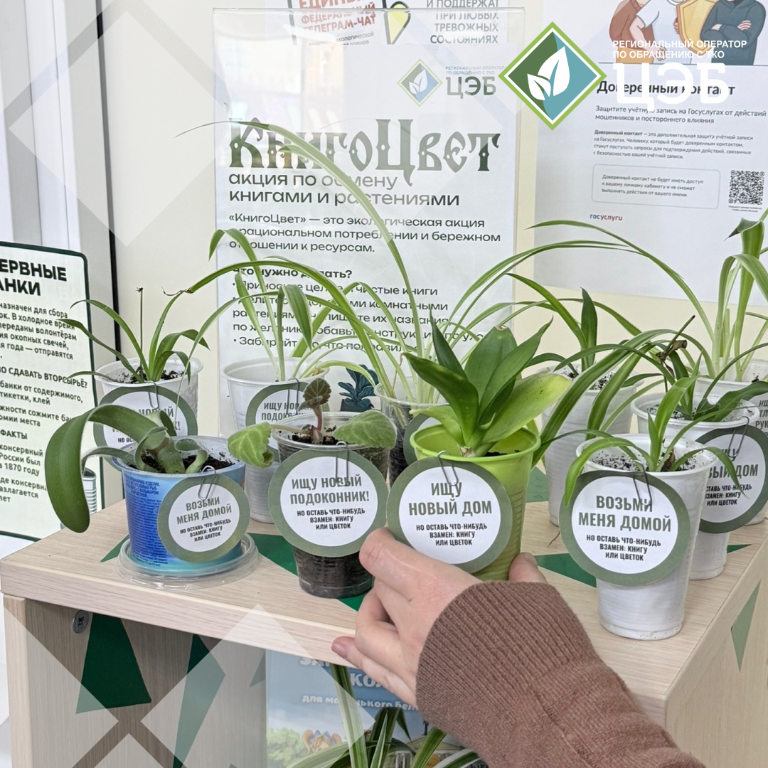 в пространстве «книгоцвет» поселились новые зелёные жители 