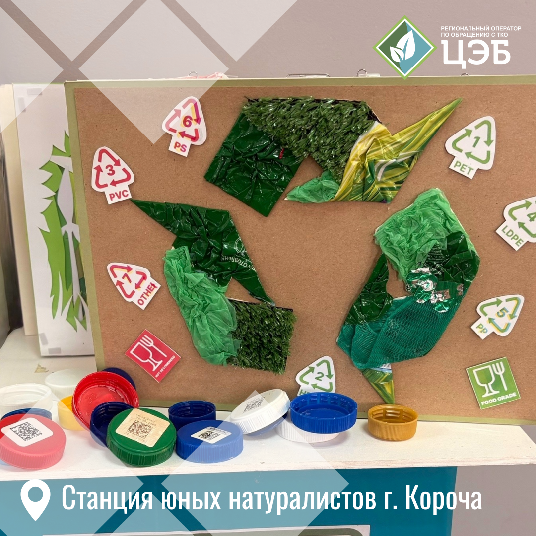 более 700 тыс. крышек отправлено на переработку: как вторсырьё помогает белгородцам